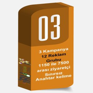 Profesyonel-Paket-reklam-paketleri-google-ads-istanbul-min